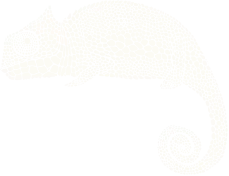 chameleon